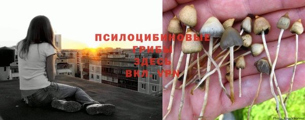 метамфетамин Покачи