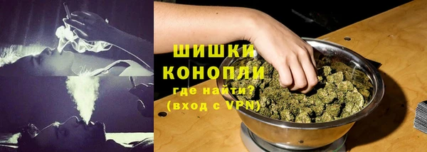 прущие грибы Приозерск