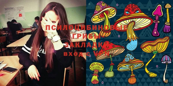метамфетамин Покачи