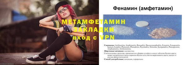 прущие грибы Приозерск