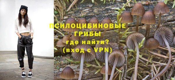 метамфетамин Покачи