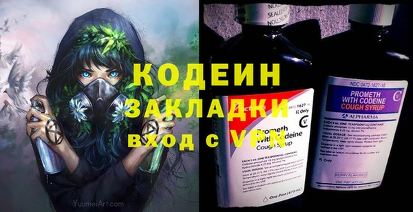 прущие грибы Приозерск