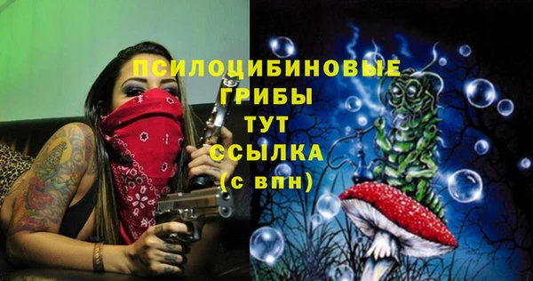 метамфетамин Покачи